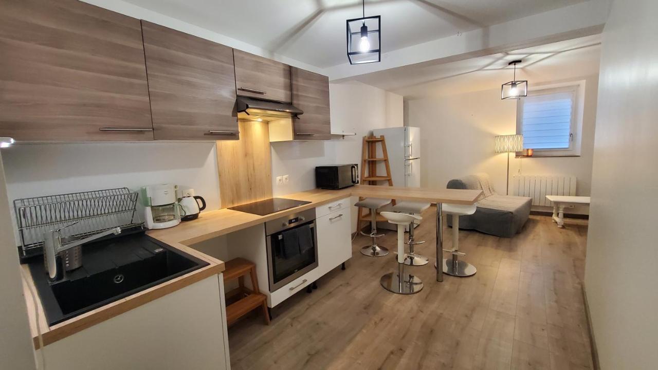 Appartement L'Ecrin De Saint Genest Lerpt - Belle Vue Et Calme Extérieur photo