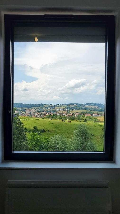 Appartement L'Ecrin De Saint Genest Lerpt - Belle Vue Et Calme Extérieur photo