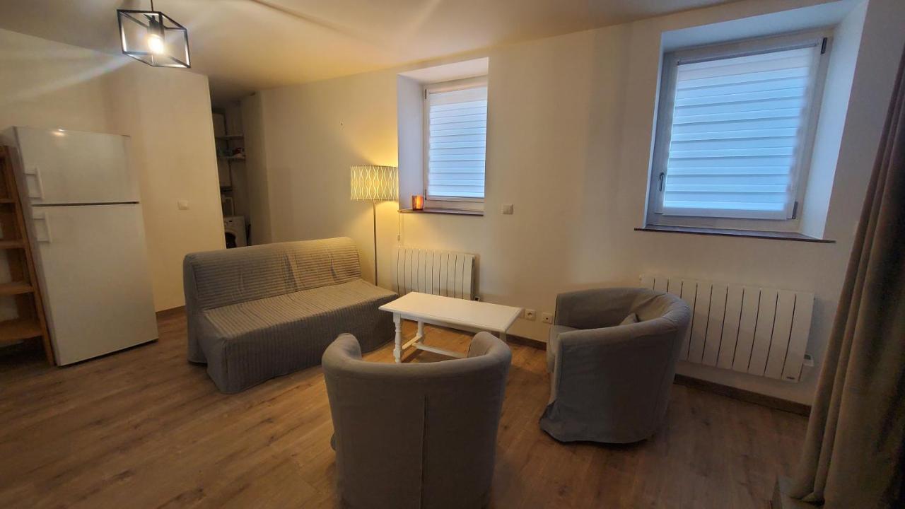 Appartement L'Ecrin De Saint Genest Lerpt - Belle Vue Et Calme Extérieur photo