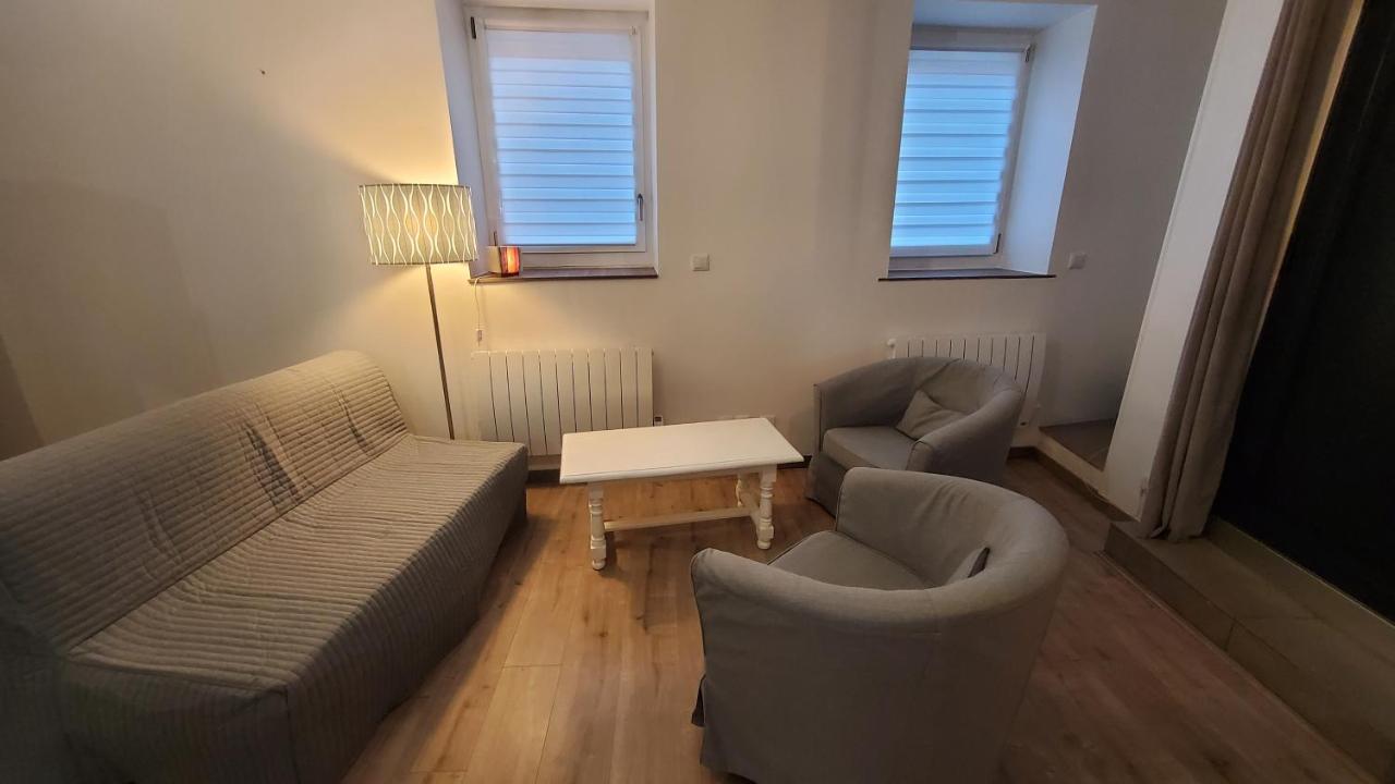 Appartement L'Ecrin De Saint Genest Lerpt - Belle Vue Et Calme Extérieur photo